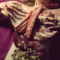 Konkurrent Pharmakon - Bestial Burden (CD)