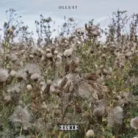 Konkurrent Broads & Milly Hirst - Ollust (CD)