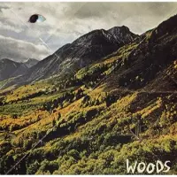 Konkurrent Woods - Songs Of Shame (LP)