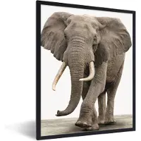 PosterMonkey Poster in fotolijst kinderen - Olifant - Kinderen - Jongens - Dieren - Meisjes - Kinderposter - 30x40 cm - Muurdecoratie kinderkamer - Schilderij voor kinderen
