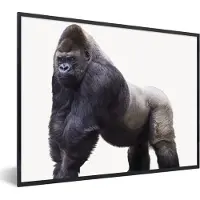 PosterMonkey Poster in fotolijst kinderen - Gorilla - Dieren - Jongens - Meisjes - Kinderen - Decoratie voor kinderkamers - 40x30 cm - Poster kinderkamer - Schilderij voor kinderen