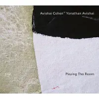 OUTHERE Avishai Cohen & Yonathan Avishai - Playing The Room (LP)