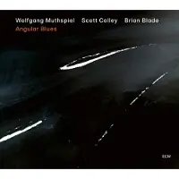 OUTHERE Wolfgang Muthspiel, Scott Colley, Brian Blade - Angular Blues (CD)