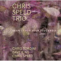 OUTHERE Dave King, Chris Speed, Chris Tordini - Respect For Your Toughness (CD)
