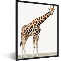 PosterMonkey Poster in fotolijst kids - Giraffe - Dieren - Witte achtergrond - Kinderen - Jongen - Meisje - Wanddecoratie kinderkamers - Wanddecoratie jongens - 60x80 cm - Poster kinderkamer