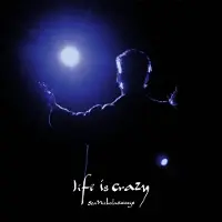 Konkurrent Sean Nicholas Savage - Life Is Crazy (LP)