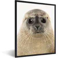 PosterMonkey Poster in fotolijst kinderen - Jongens - Zeehond - Kinderen - Meisjes - Dieren - Muurdecoratie kinderkamer - Poster kinderkamer - 60x80 cm - Slaapkamer decoratie