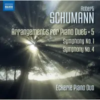 Naxos Arrangements pour duo de pianos Volume 5 Symphonies Numéros 1 et 4