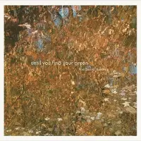 Konkurrent The Baird Sisters - Until You Find Your Green (CD)