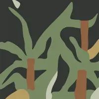 Konkurrent Valet - Nature (CD)