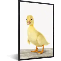 PosterMonkey Poster in fotolijst kinderen - Poster dieren - Eend - Kuiken - Dieren - Lief - Meisjes - Jongens - Kinderen - Decoratie voor kinderkamers - 20x30 cm - Slaapkamer decoratie - Kinderposter