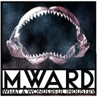 Konkurrent M. Ward - What A Wonderful Industry (LP) (Coloured Vinyl)