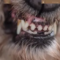 Konkurrent Blanck Mass - World Eater (CD)