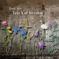 OUTHERE Lennart Simonsson, Per V Johansson, Joakim Ekber - Trio X Of Sweden (CD)