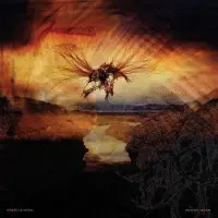 Konkurrent Rebecca Foon - Waxing Moon (LP)