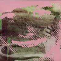 Cd Deerhunter - Fluorescent Grey (CD)