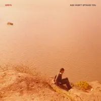 Import Greys - Age Hasn't Spoiled You (LP)
