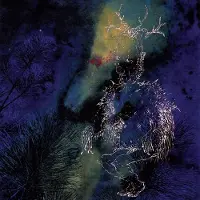 Cd Bardo Pond - Under The Pines (CD)