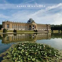 Konkurrent The Names - Names In Mutation (CD)