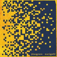 Konkurrent Pinegrove - Marigold (LP)