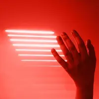 Ginza.se Amusement Parks On Fire - All The New Ends (CD)