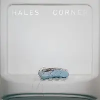 Konkurrent Hales Corner - Hales Corner (CD)
