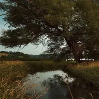 Konkurrent S. Carey - Hundred Acres (CD)