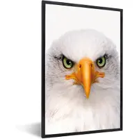 PosterMonkey Poster in fotolijst kind - Jongens - Adelaar - Amerikaanse zeearend - Vogel - Portret - Snavel - Ogen - Wanddecoratie jongens - 20x30 cm - Decoratie voor kinderkamers - Poster kinderkamer