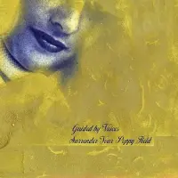 Konkurrent Guided By Voices - Surrender Your Poppy Field (CD)