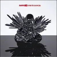 Konkurrent Sunn O))) - Kannon (LP)