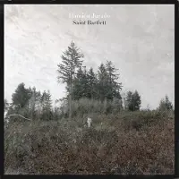 Konkurrent Damien Jurado - Saint Bartlett (LP)