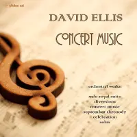 OUTHERE Manchester Sinfonia & Northern Chamber Orchestra - Ellis: Concert Music (CD)