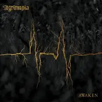 Import Awaken
