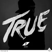 Universal Music Avicii - True (CD)