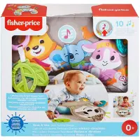 Fisher-Price Speelkleed Fisher Price GRR01 Plastic