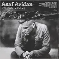 Universal Music Asaf Avidan - The Study On Falling (CD)