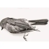 Coast2Coast Downriver Dead Men Go - Departures (CD)