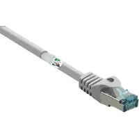 Renkforce RF-5043948 RJ45 Netwerkkabel, patchkabel CAT 6A S/FTP 10.00 m Grijs Vlambestendig 1 stuk(s)