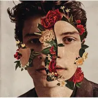 Universal Music Shawn Mendes - Shawn Mendes (CD)