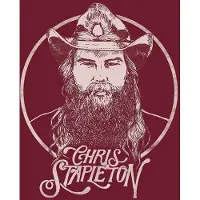 Universal Music Chris Stapleton - From A Room: Volume 2 (CD)