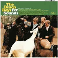 Universal Music The Beach Boys - Pet Sounds - Mono (LP) (Mono)