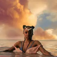 Konkurrent Jamila Woods - Heavn (LP)