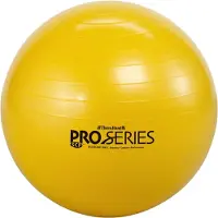 Thera-band PRO Series SCP Zitbal