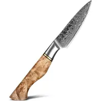 HEZHEN Professioneel 3.5" Schilmes | Damascus staal (67 lagen) | B30 Series | Handvat van Plataanhout met Klinknagel Mozaïek