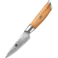 Xinzuo Schilmes van de B37 Damascus Series