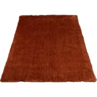 Veer Carpets Karpet lago 63 200 x 290 cm