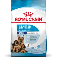 Royal Canin Maxi Starter Mother & Babydog 4kg