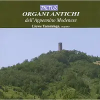 OUTHERE Liuwe Tamminga - Organi Antichi Dell' Appennino Modenese (CD)