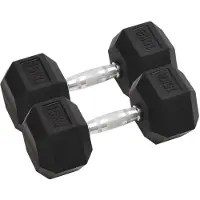 vidaXL Korte halterset, 2 stuks, totaal 15 kg, gietijzer