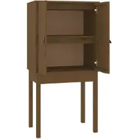 vidaXL Hoge kast 60x40x120 cm massief grenenhout honingbruin